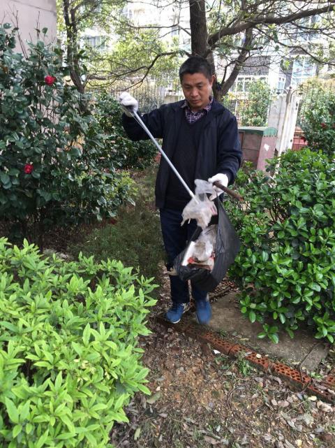 控制鼠害、预防疾病，，，，，，构建协调文明社区